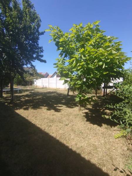 jpg - 2025-12-30T005811.417.jpg