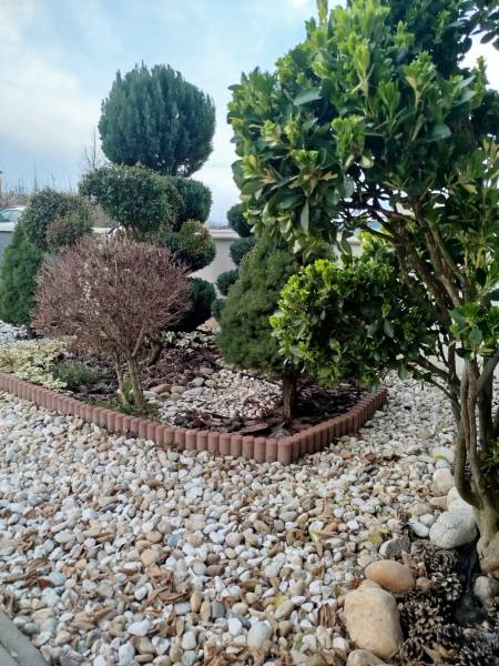 WhatsApp Image 2026-03-16 at 18.37.17.jpeg