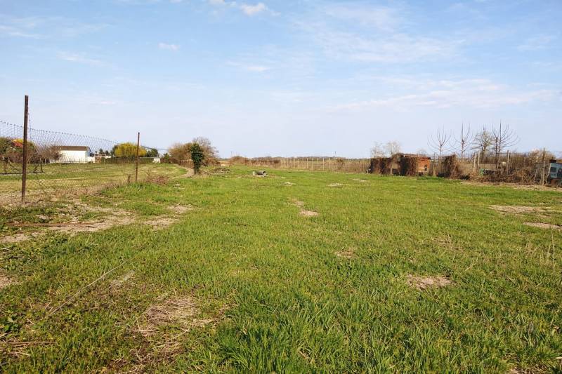 WhatsApp Image 2026-03-21 at 20.08.09 (1).jpeg