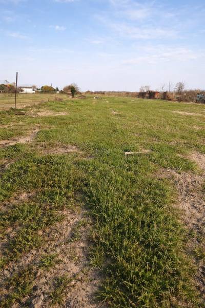 WhatsApp Image 2026-03-21 at 20.08.09.jpeg