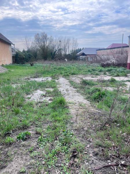 WhatsApp Image 2026-03-29 at 19.02.16.jpeg