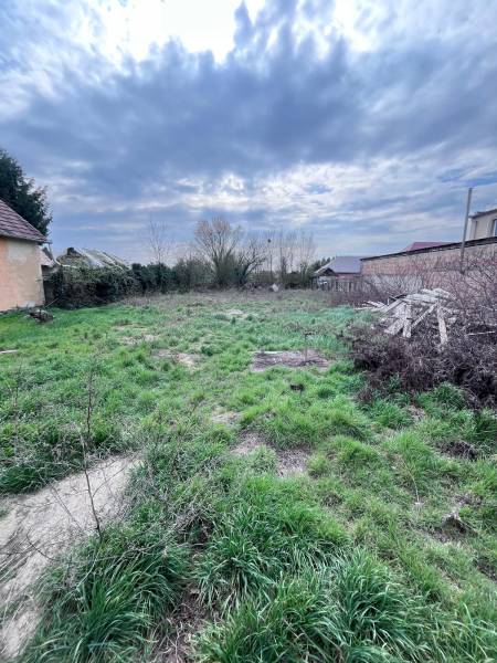 WhatsApp Image 2026-03-29 at 19.03.12.jpeg