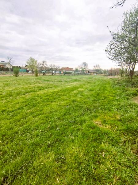 WhatsApp Image 2026-04-04 at 15.30.12 (3).jpeg