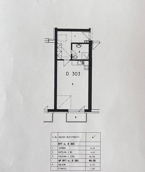 1 izbovy podkrovny.jpeg