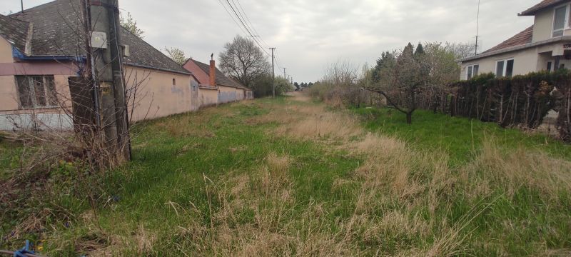 IMG_20260414_171227.jpg